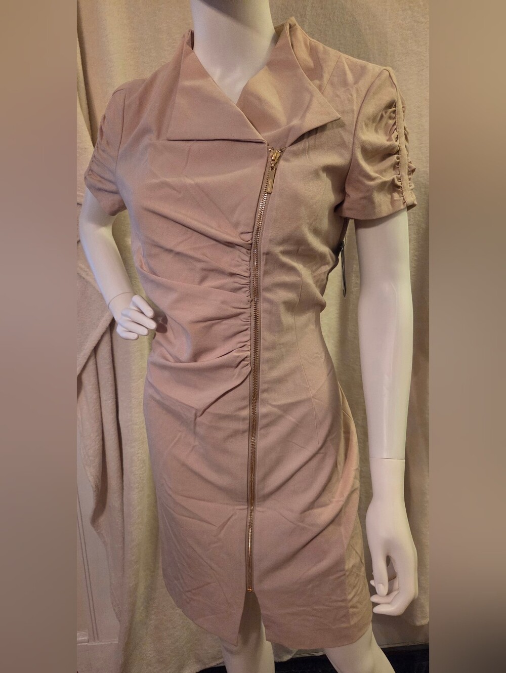 Ellen Tracy Blush Beige Dress with Gold Zip